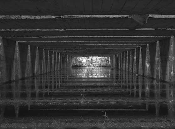 Le jardin de l'ombre