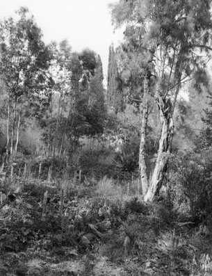 Jardin Rayol