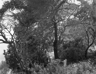 Jardin Rayol