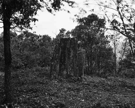 Mégalithes du haut Laos