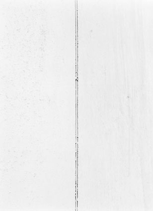 Morphogenèses