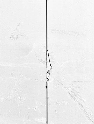 Morphogenèses
