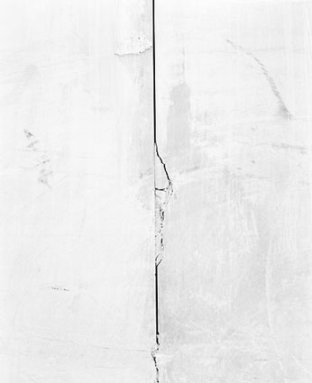 Morphogenèses