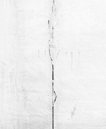 Morphogenèses