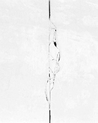 Morphogenèses