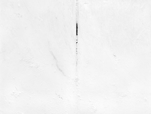 Morphogenèses