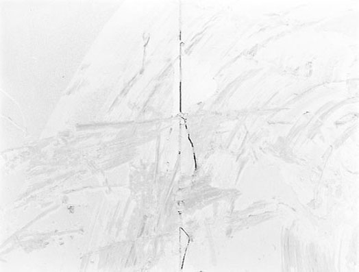 Morphogenèses