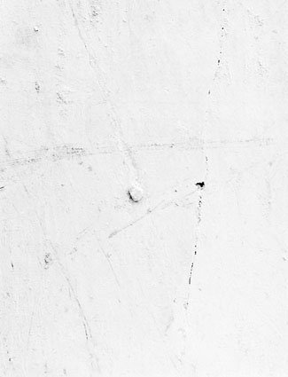 Morphogenèses