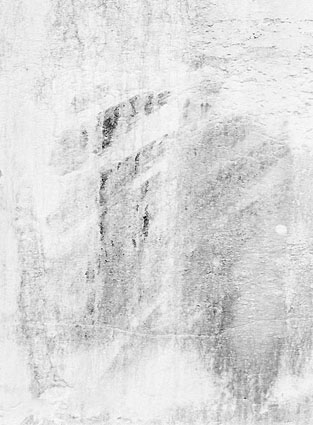 Morphogenèses