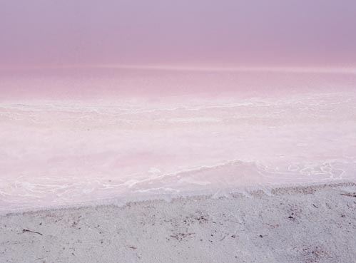 Salins