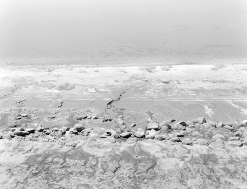 Salins