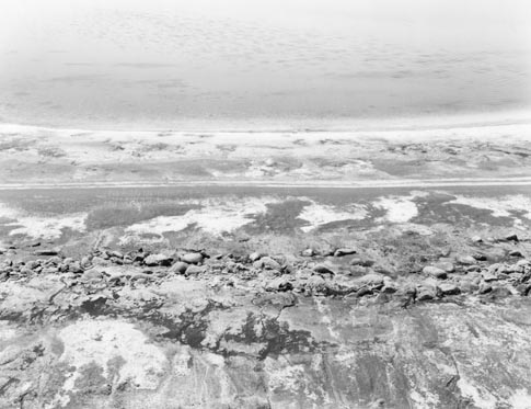 Salins