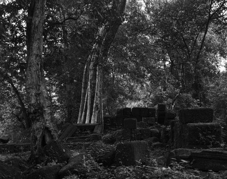 Vat Phou